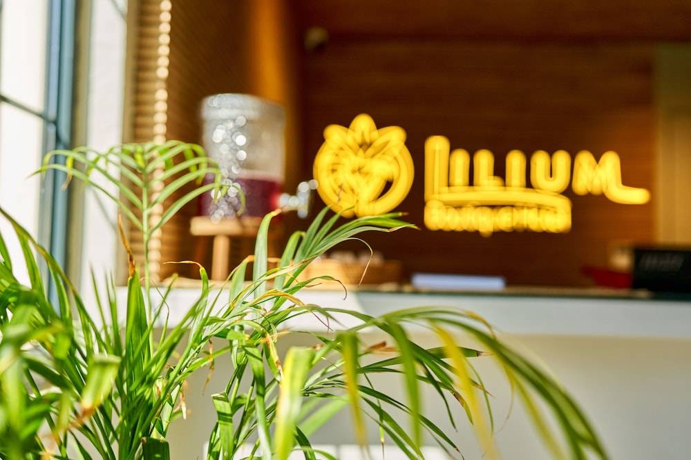 Lilium Boutique Hotel 2