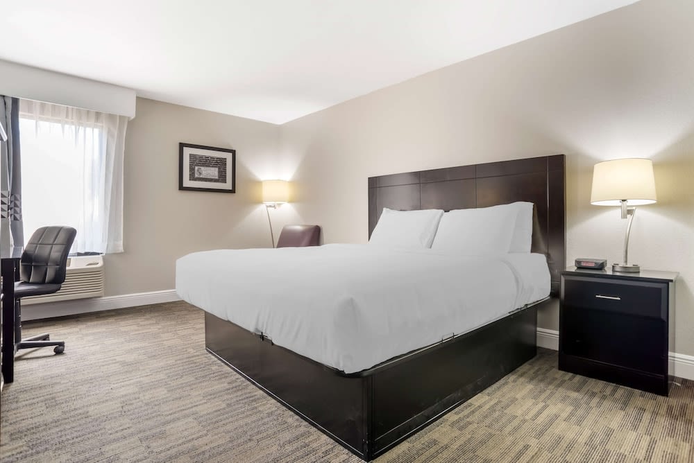 Best Western Bayou Inn 1