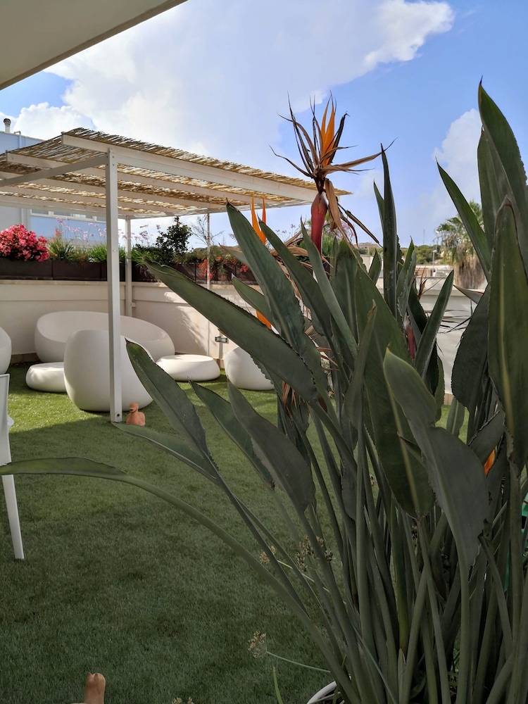 La Casa del Turista 1