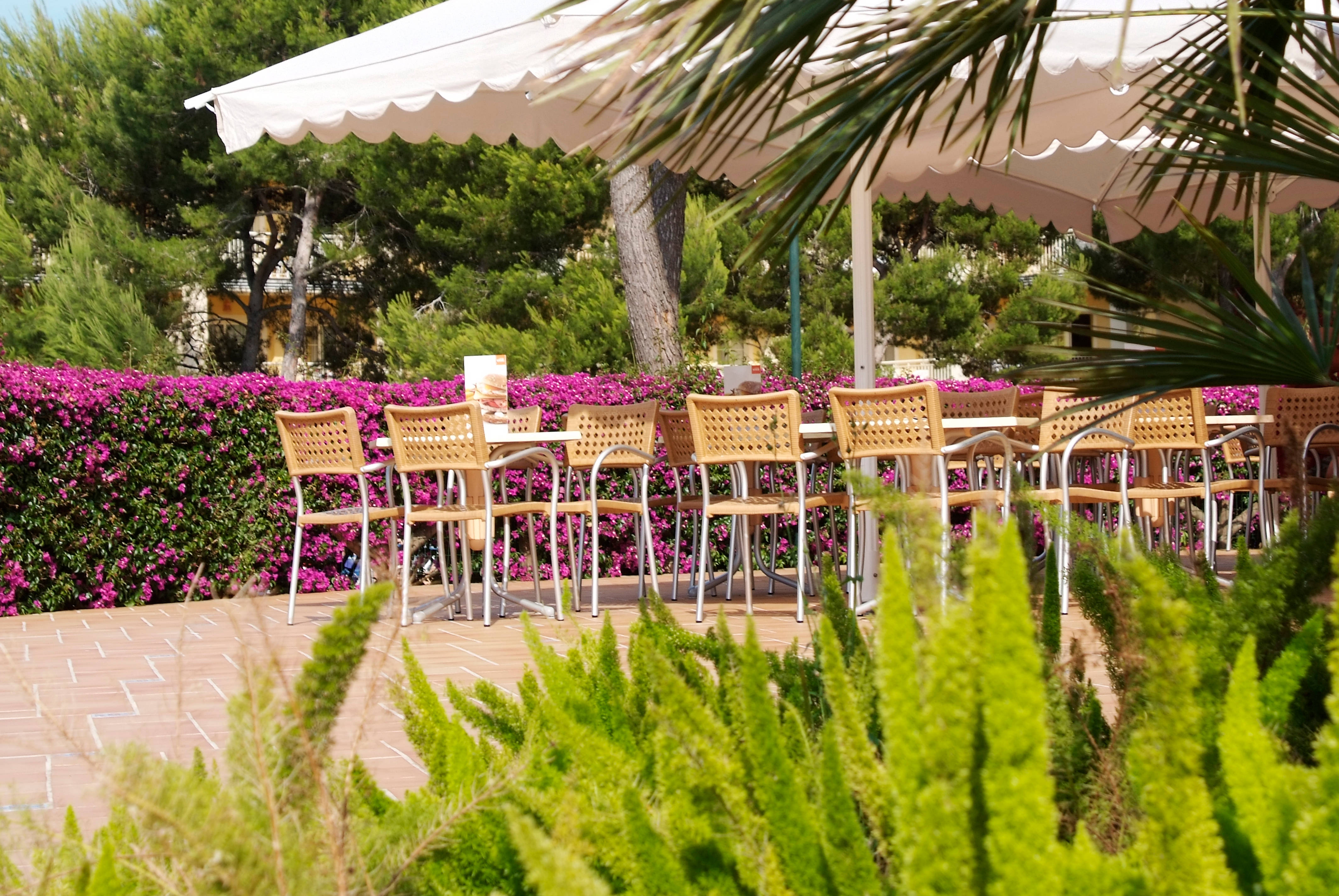 Zafiro Mallorca & Spa 2