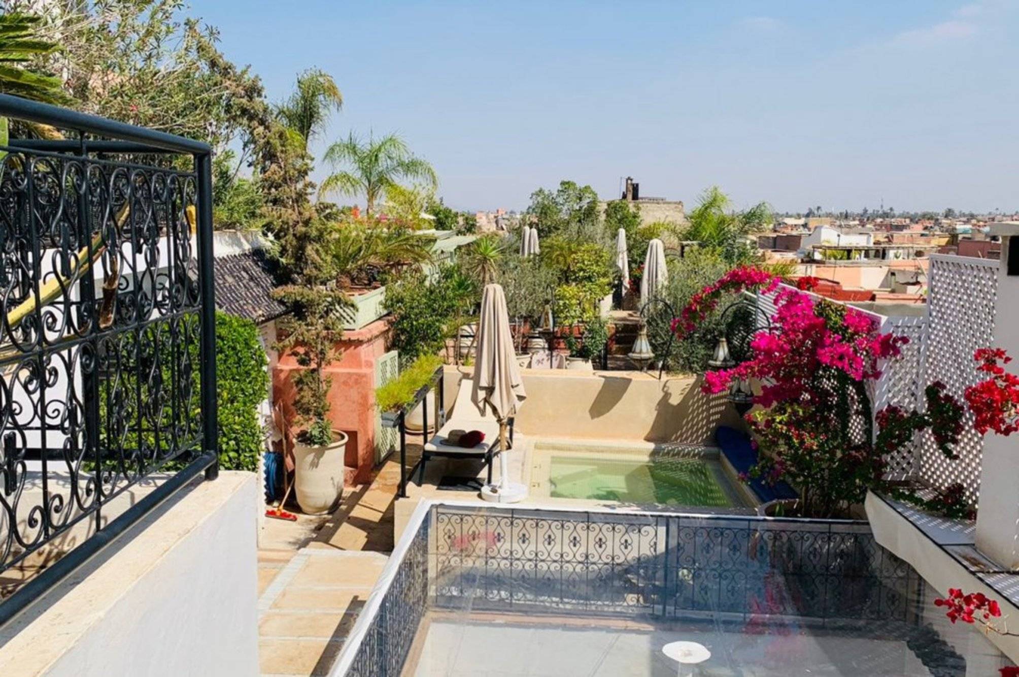 Riad Moullaoud 1