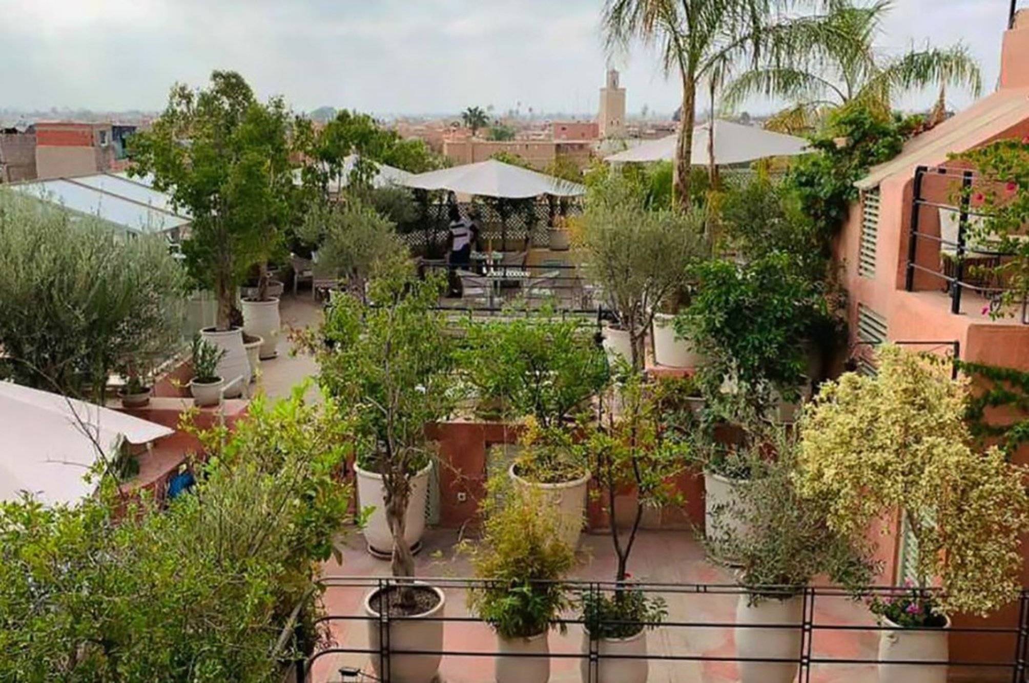 Riad Moullaoud 2