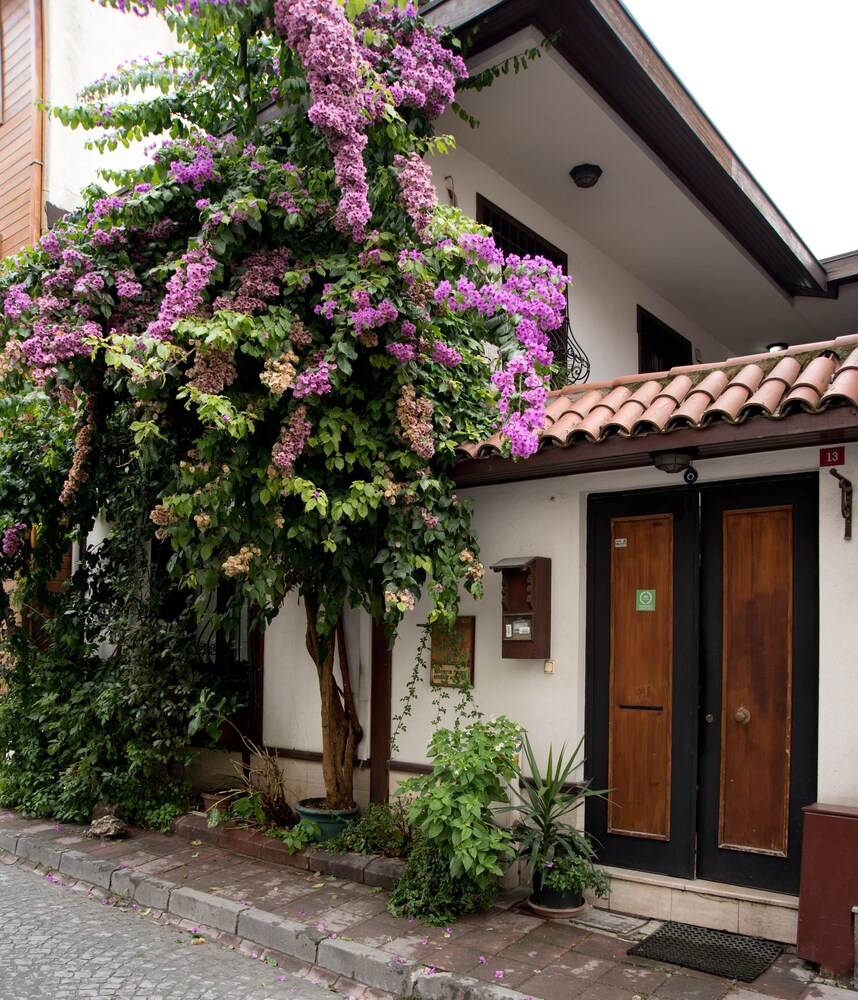 Villa Sphendone Suites Istanbul 1
