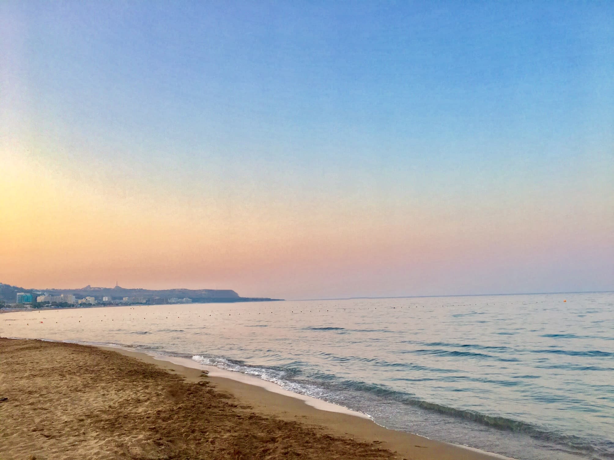 Bivalvia Beach Plus 1