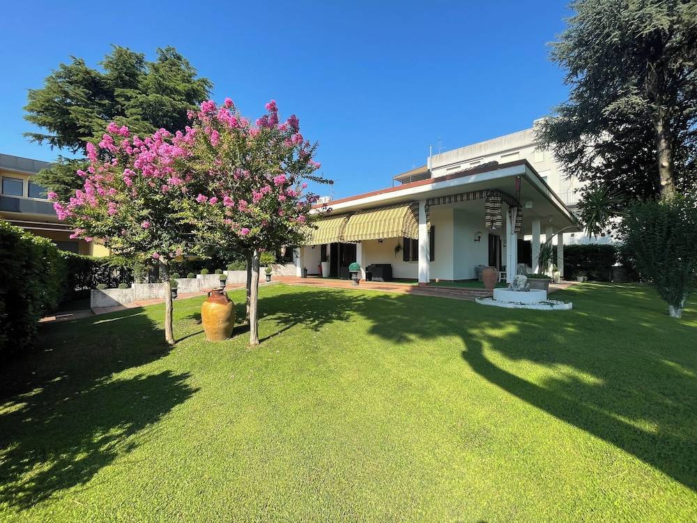Vitti's Home Verona 1