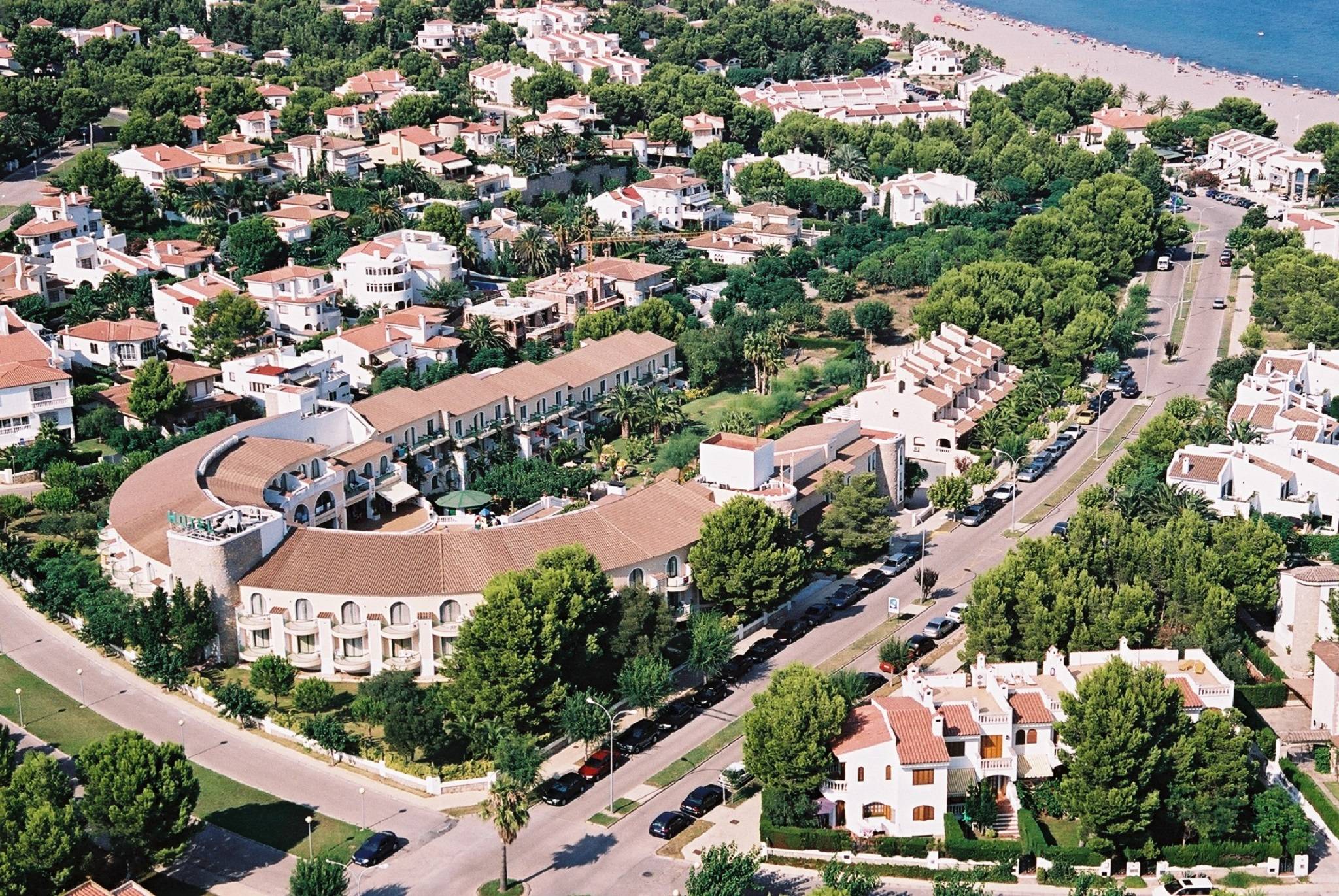 ALEGRIA Pino Alto 2