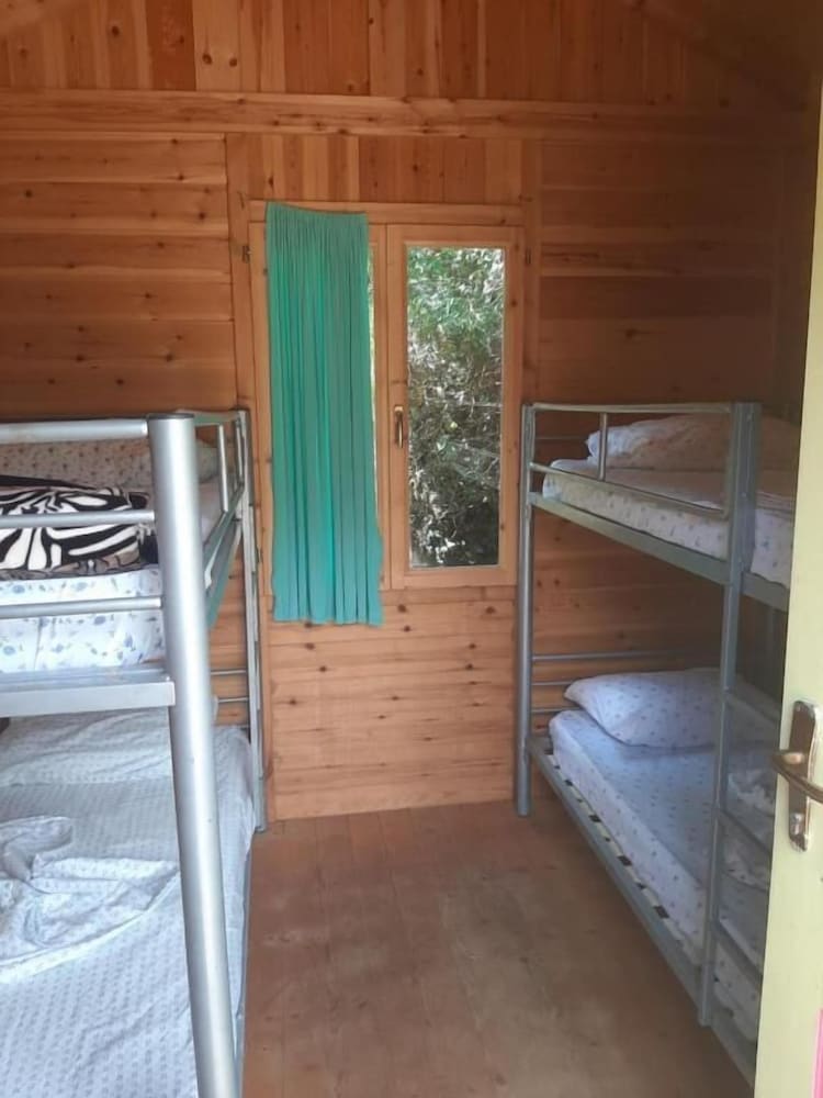 Social Camping JAL 2