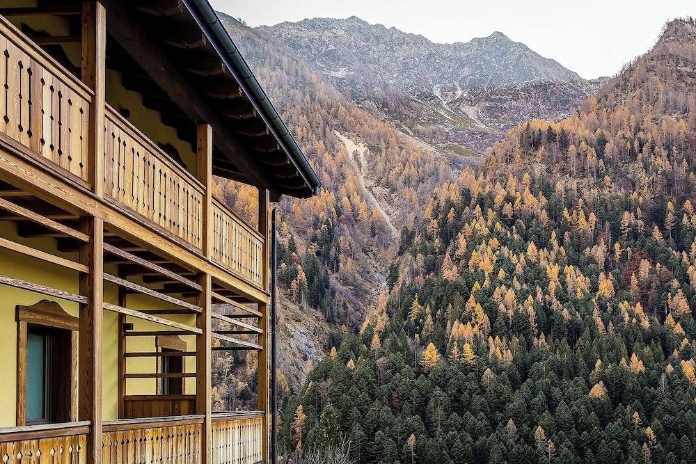 Mirtillo Alpino Casa Vacanze 1