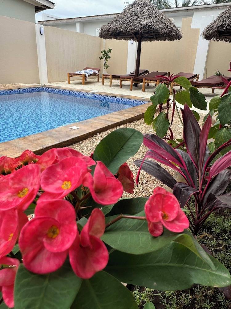 Peace And Color Limited Guest House 1