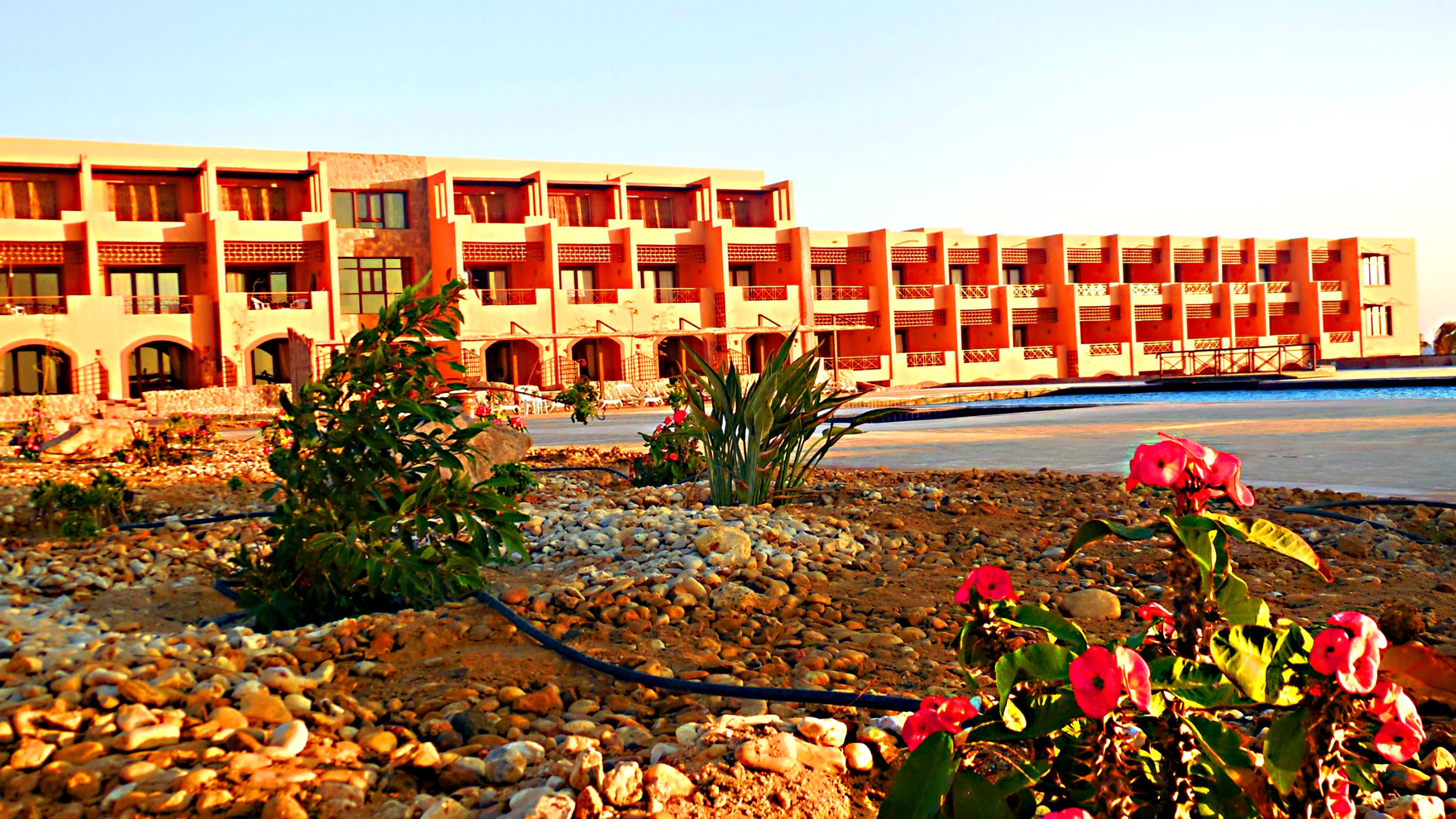 Viva Blue Resort and Diving Sharm El Naga (Adults Only) 1