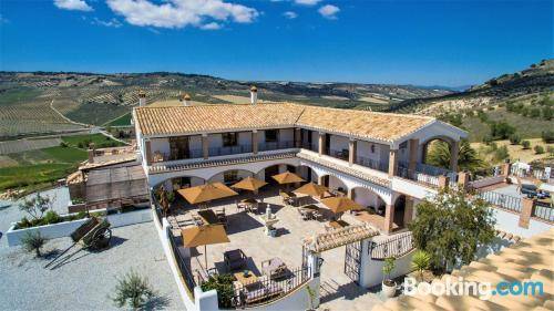 Lemon Tree Retreat at El Amparo 2