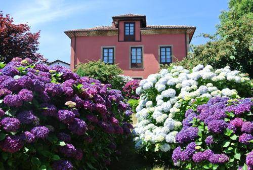 Hotel Rural El Algaire 1