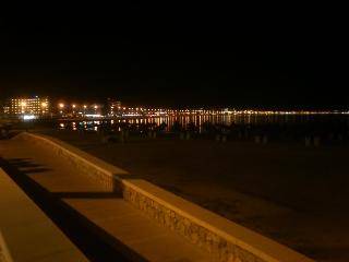 BARI 2