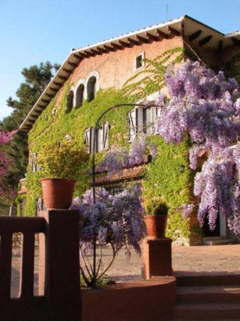 Masia Vista Hermosa 1