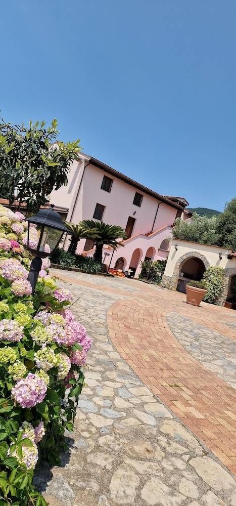 Tenuta D'Arienzo 1