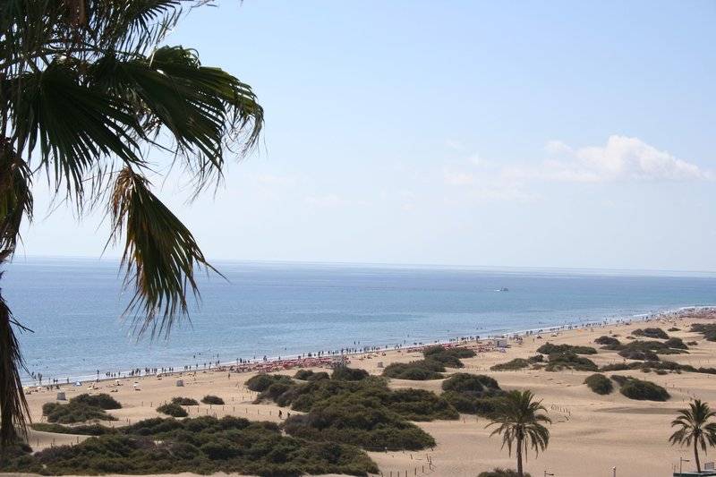 Tabaibas 2