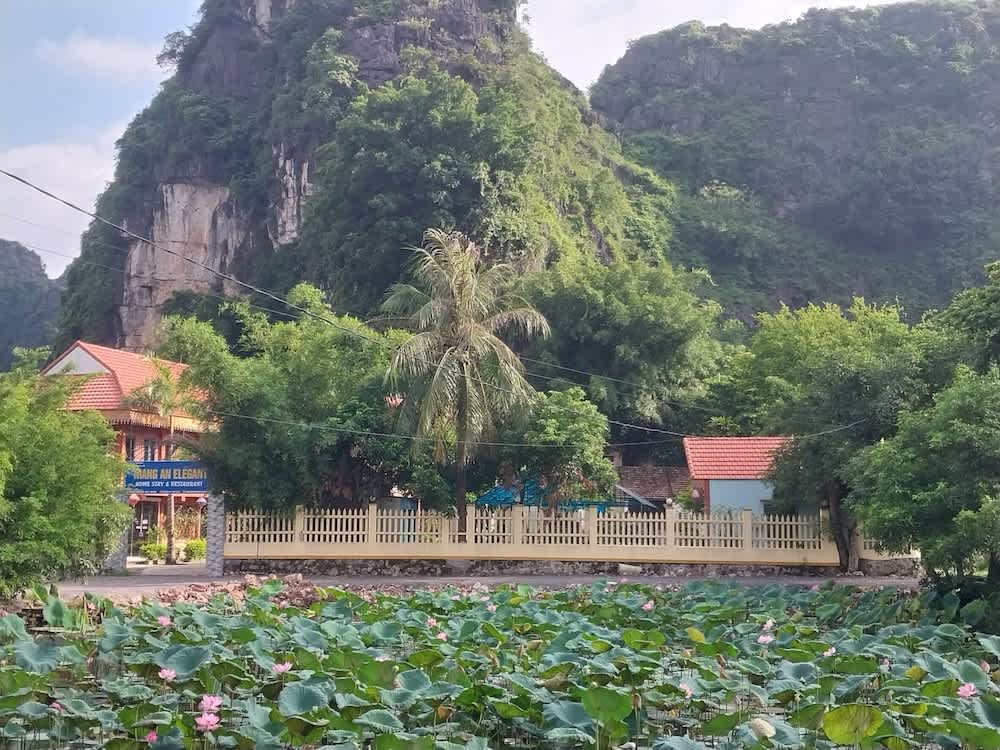 Trang An Elegant Homestay 1
