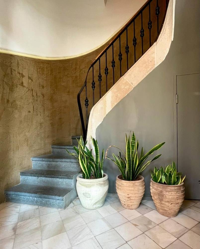 Porxos Garden 2