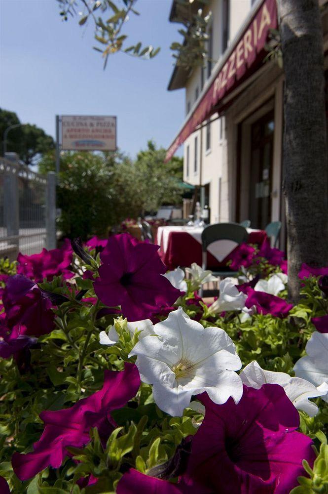Hotel Scaligero 1