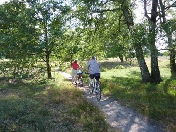 Akzent Hotel Zur Wasserburg - Hotel Garni bed & breakfast 1