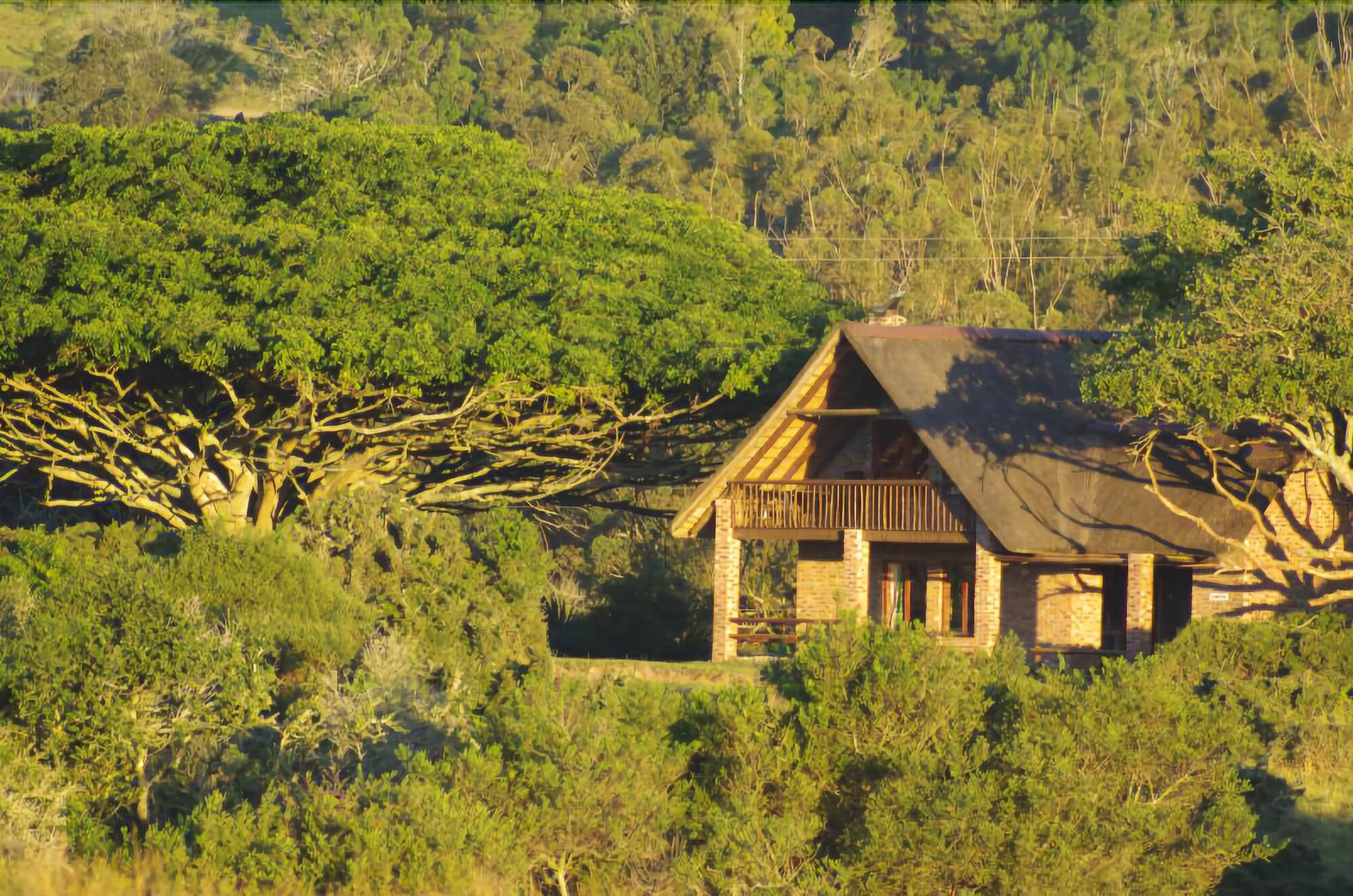 Kragga Kamma Game Park 2