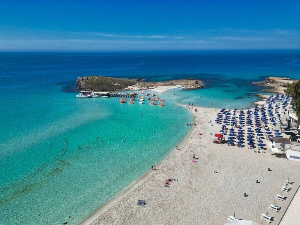Vassos Nissi Plage Hotel & Spa 1