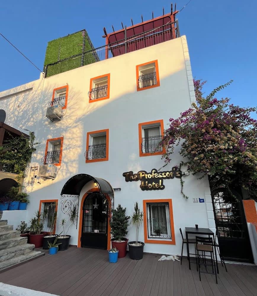 The Professor's Hotel 1