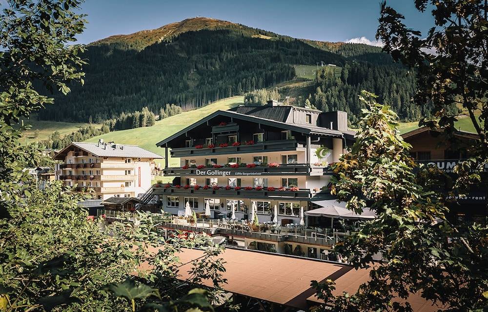 Der Gollinger 1