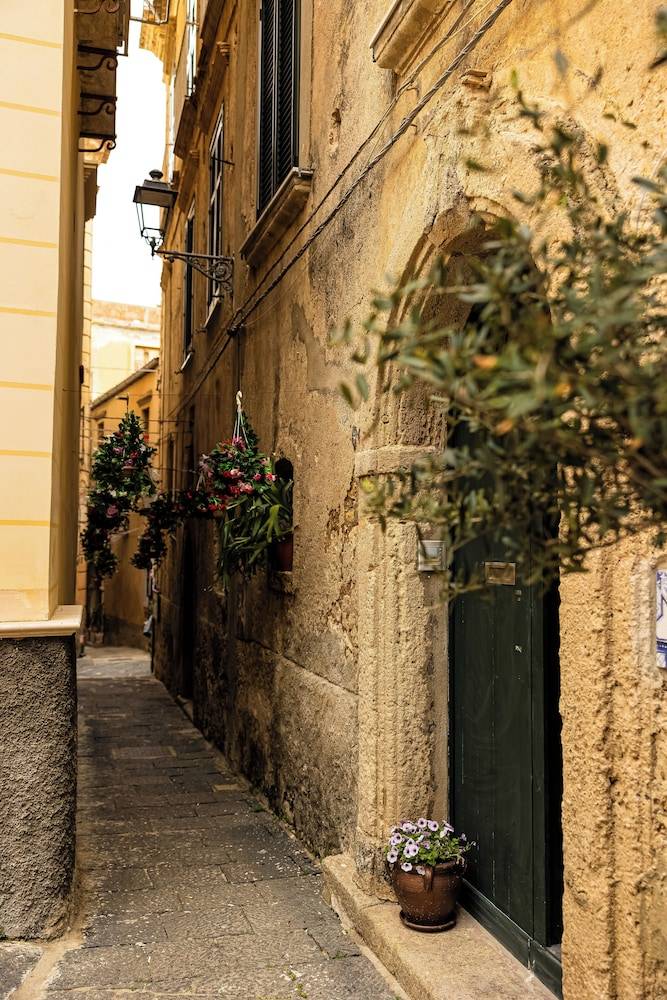 Radici Tropea 1