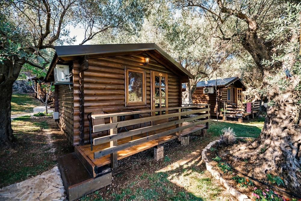 Holiday Park Olive Tree 2