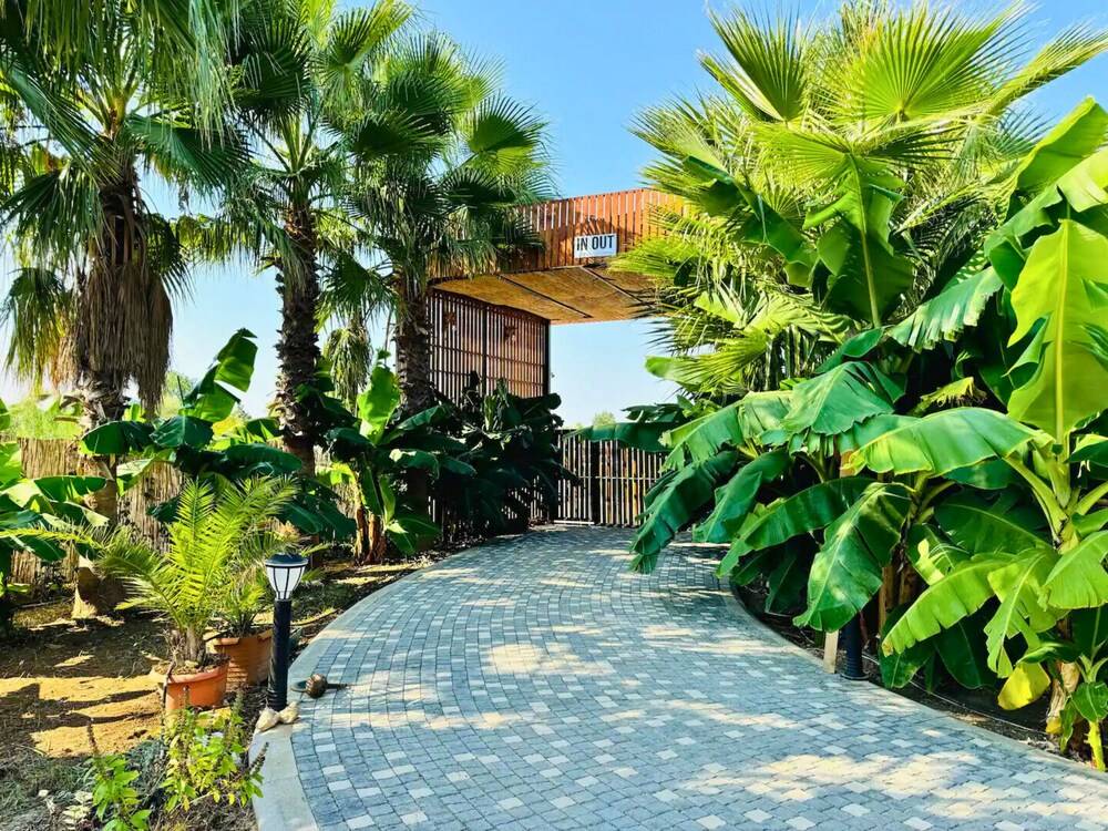 In Out Resort Glamping 2