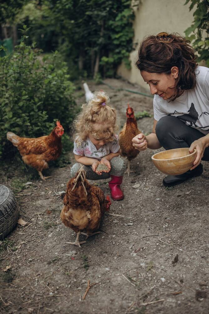 B&B Naturin - Vegan Eco Farm 1