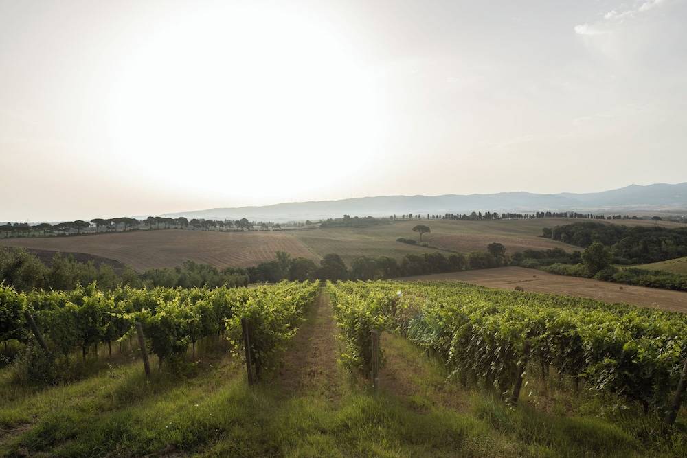 Agriturismo Cappellese 1
