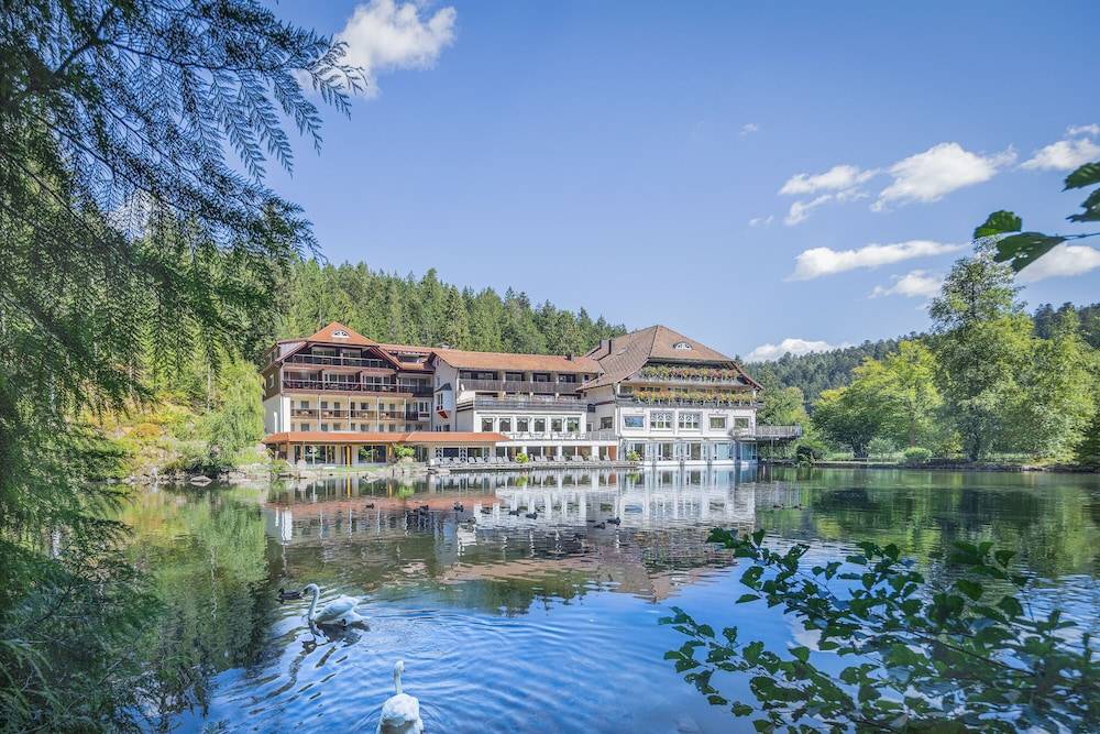 Hotel Langenwaldsee 1