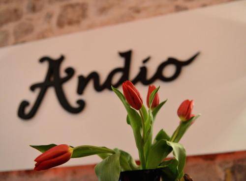 Bed&Breakfast Andio 1