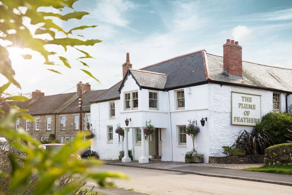 The Plume of Feathers 1