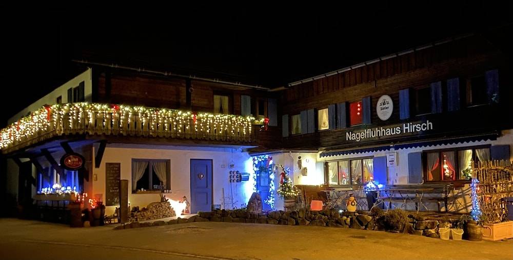 Nagelfluhhaus Hirsch 1
