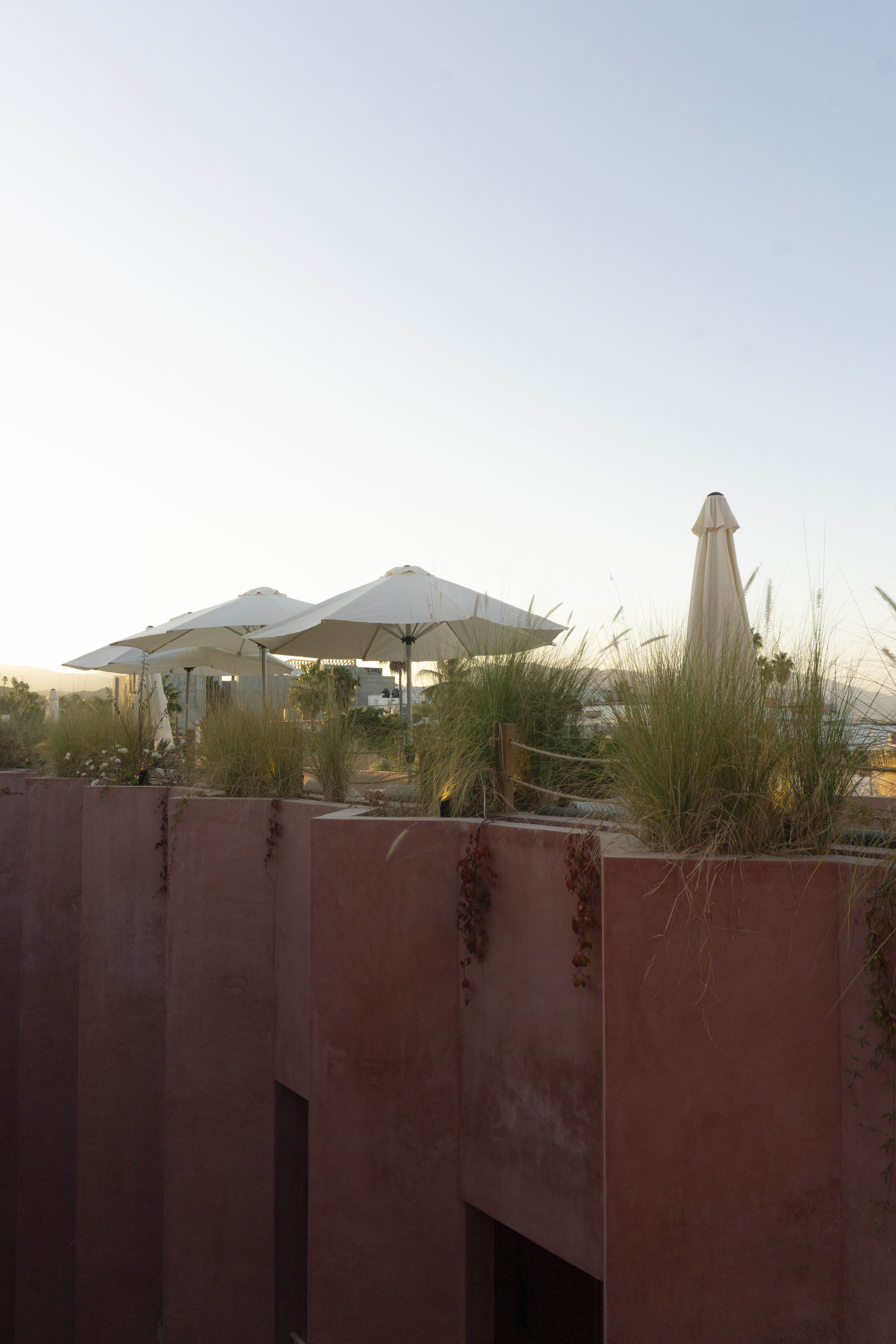 Laiva Hotel San Jose by Tasman 1
