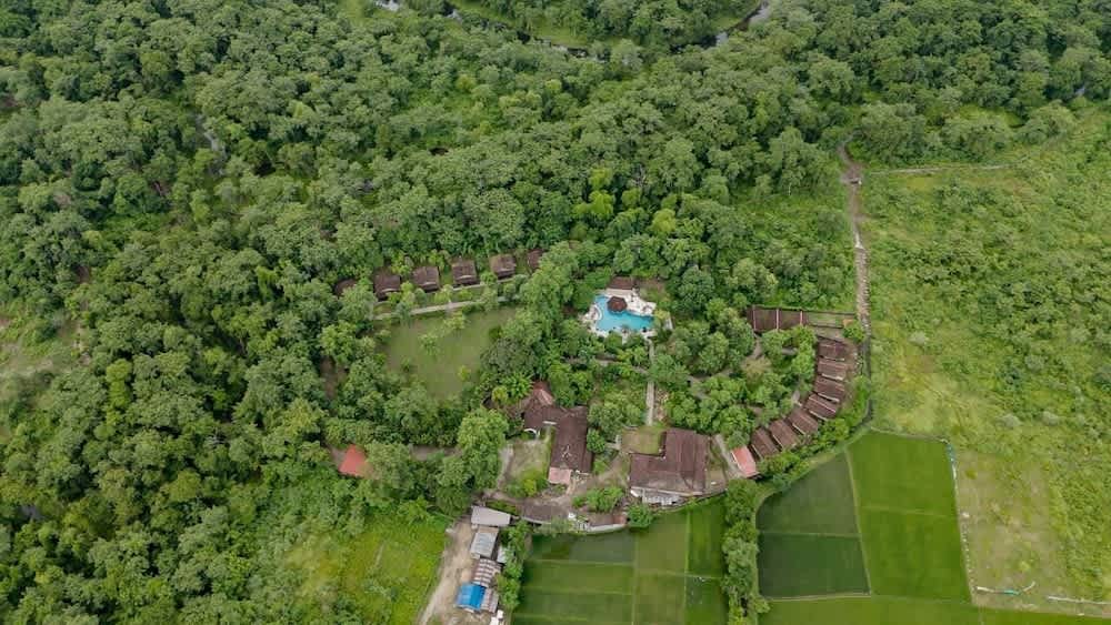 Siddhartha Wildlife Retreat 1