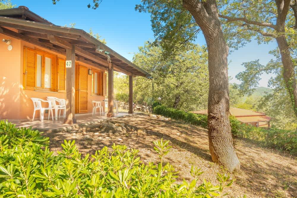 Holiday Complex With Pool in Andora 1
