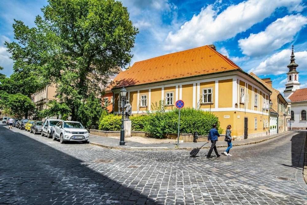 Giselle Buda Castle 1