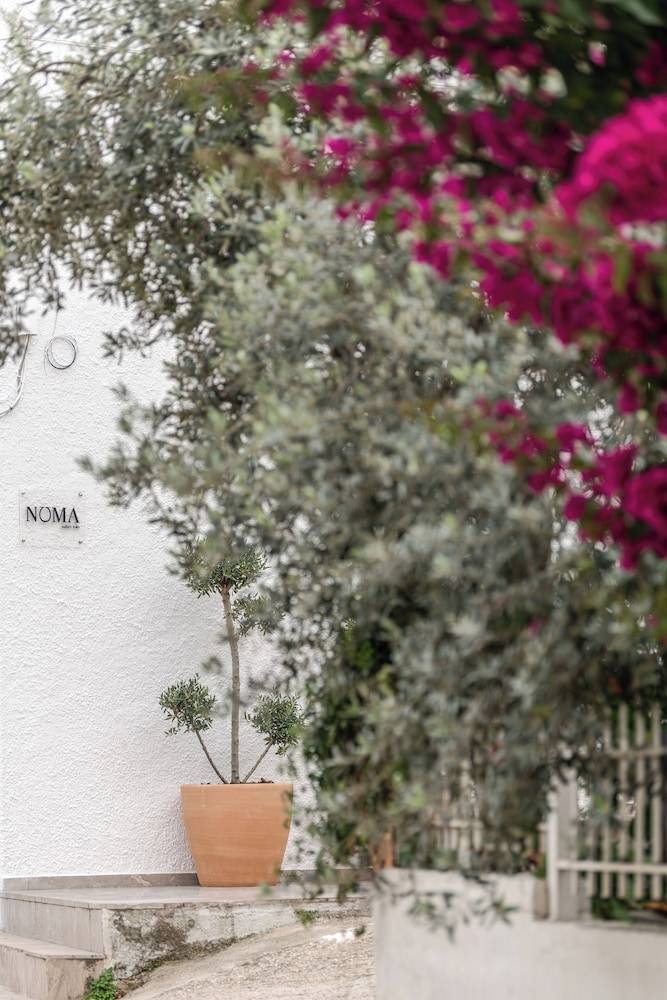 Noma Suites Tolo 1