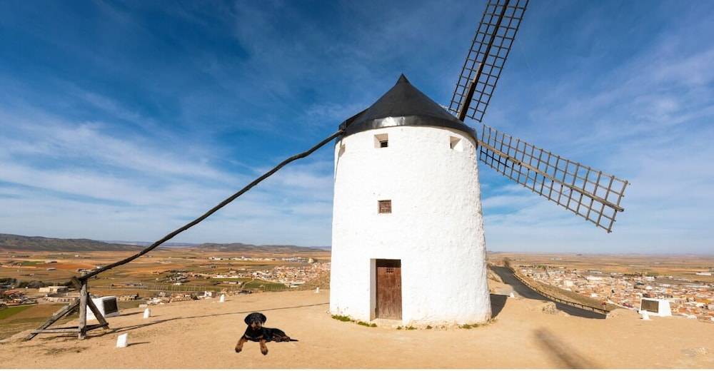 Apartamentos Consuegra 1