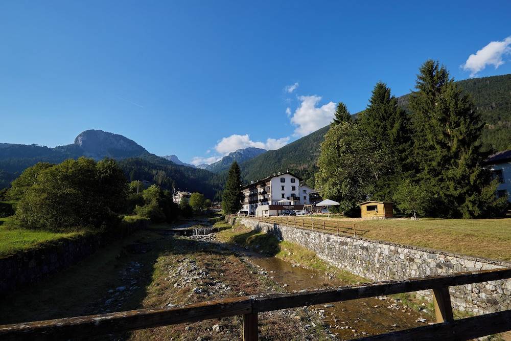 Hotel Villa Alpina 1