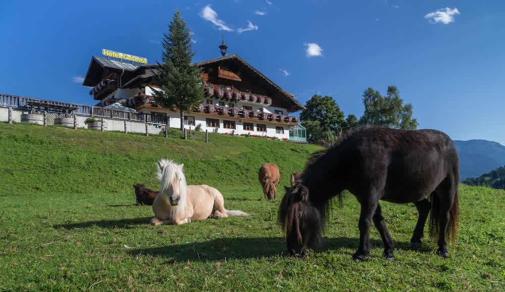 Seiterhof 1