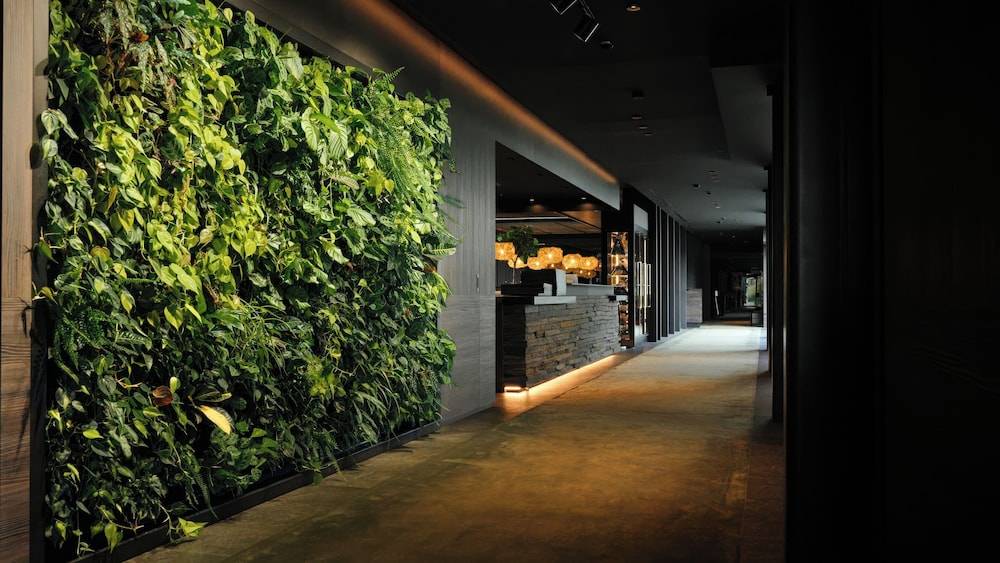 Anatura Hotel Luxembourg 2