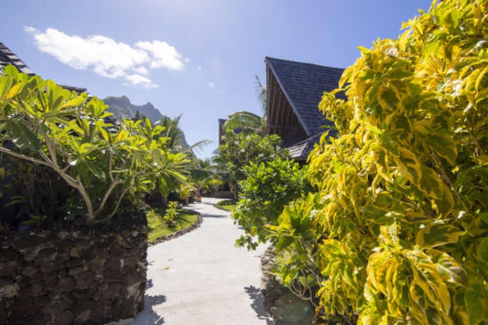 Oa Oa Lodge 2