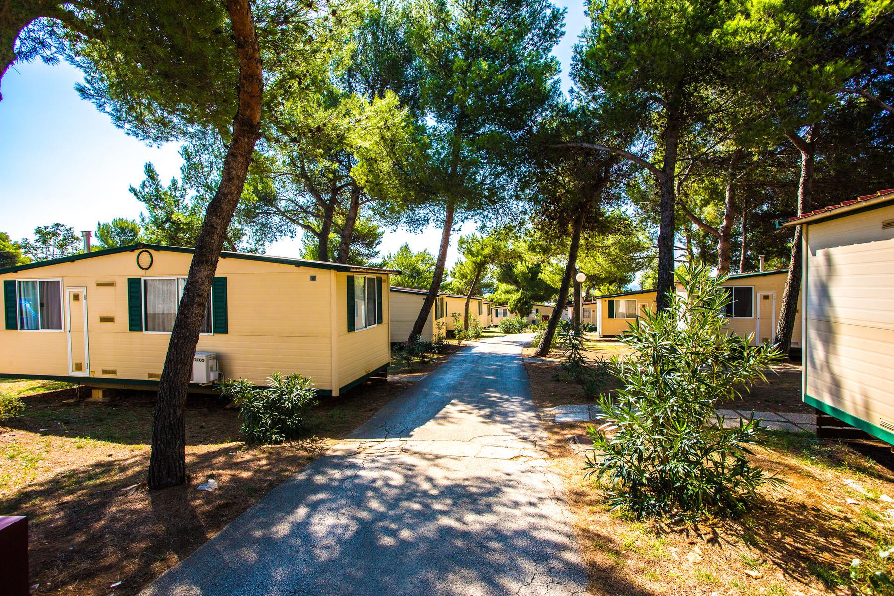 Arena Indije Campsite 1