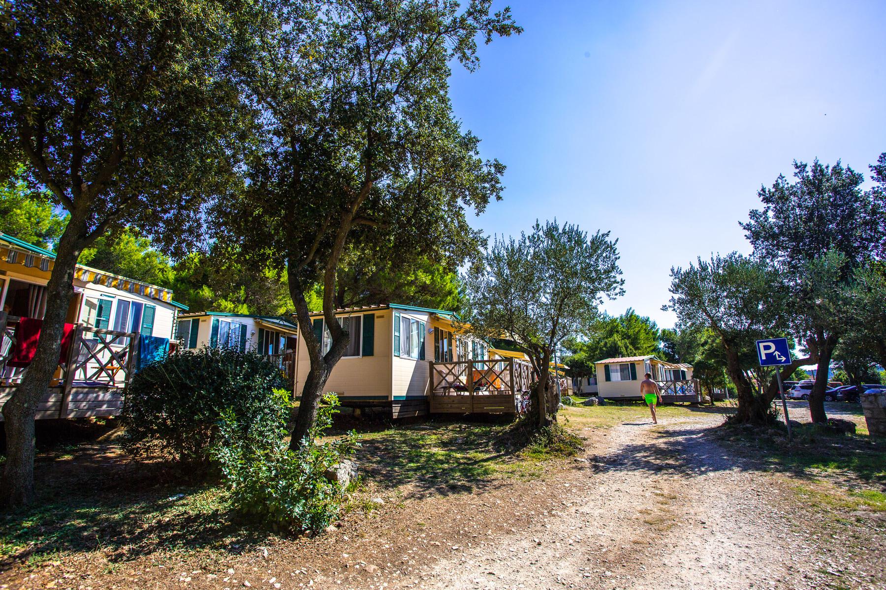 Arena Indije Campsite 2