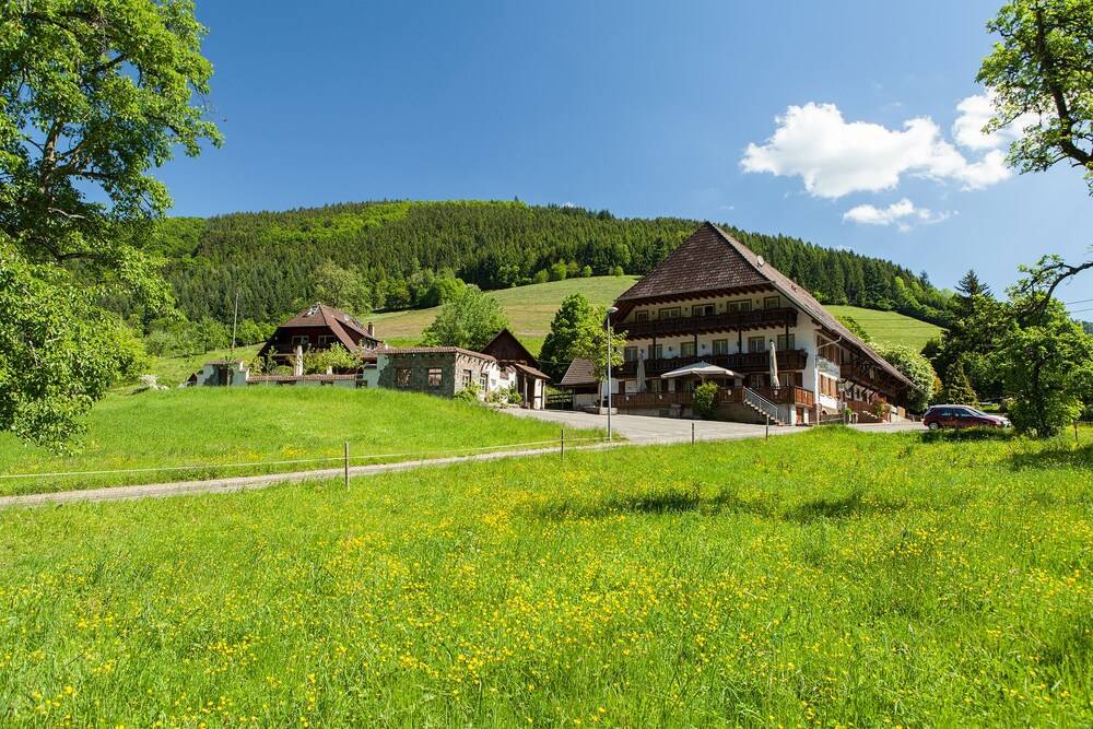 Landgasthaus Grüner Baum 1